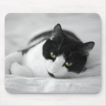 Cat mousepads
