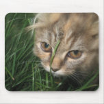 Cat Mousepad