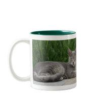 Cat Mug mugs
