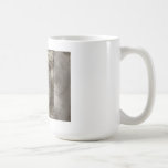 Cat mug: Sleeping kitten mugs