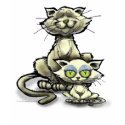 Cat n Kitten t-shirts