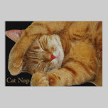 Cat Nap 36 x 24 Poster posters