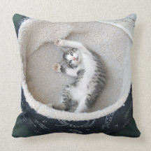 Cat Nap American MoJo Pillow