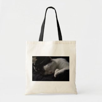 Cat Nap Bag