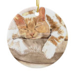 Cat Nap Christmas Ornament