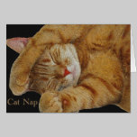 Cat Nap Greeting Card cards