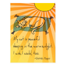Cat Nap haiku Postcards