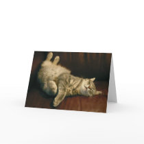 Cat nap - in the extreme cards by Lajko1 Cat nap - in the extreme cards