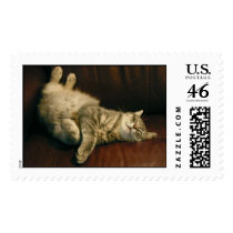 Cat nap - in the extreme postage