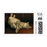 Cat nap - in the extreme postage stamps