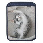 Cat Nap Ipad Sleeve