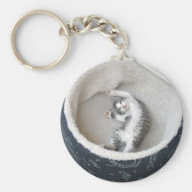 Cat Nap Keychains