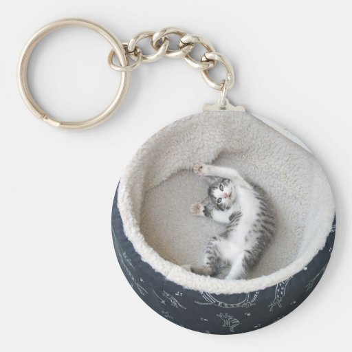 Cat Nap Keychains
