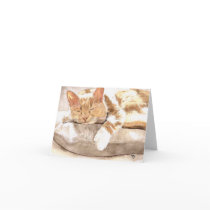 Cat Nap Notecard by mozache Cat Nap Notecard