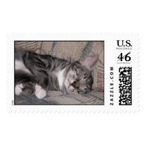 Cat Nap postage