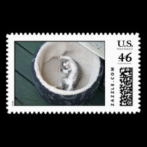 Cat Nap stamps