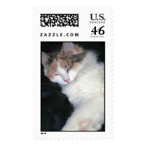 CAT NAP postage by minx267 CAT NAP postage