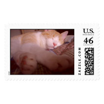 Cat Nap postage by jenniba Cat Nap postage