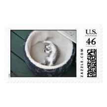 Cat Nap Postage