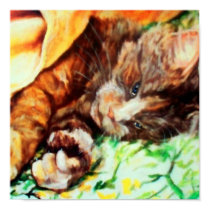 Cat Nap posters