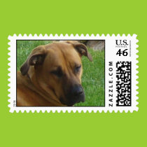 Cat nap puppy postage stamps