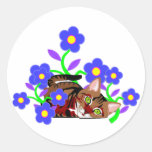 Cat Nap Stickers