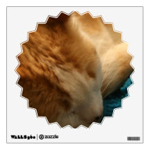 Cat Nap Wall Decal