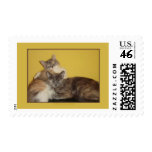Cat Nappers Postage Stamp