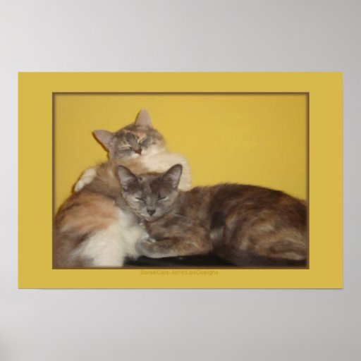Cat Nappers Print