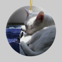 Cat napping ornaments
