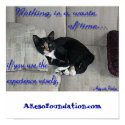 Cat Naps posters