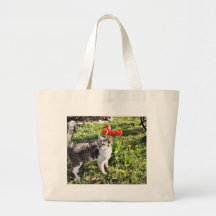 Cat Next To The Red Tulips On The Garden Bag
