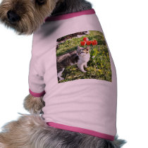 Cat Next To The Red Tulips On The Garden pet clothing