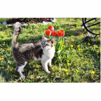 Cat Next To The Red Tulips On The Garden photo sculptures