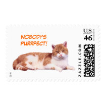Cat Nobody's Purrfect Postage Stamp