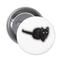 Cat Noir 4 Pin