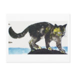 Cat Nr.21 * cat postcards * Cat kind Postcard
