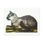 Cat Nr.36 * cat postcards * Cat kind Postcard