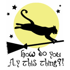 Cat on a Broomstick shirt