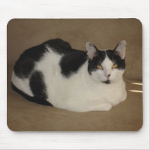 Cat On A Couch Mousepads