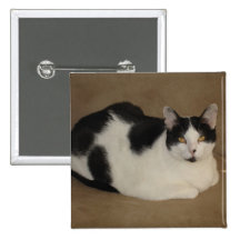 Cat On A Couch Pin