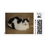 Cat On A Couch Postage