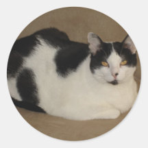 Cat On A Couch Sticker