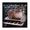 Cat On A Keyboard In Space Internet t-shirts