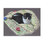 CAT ON AFGHAN: ORIGINAL ART POSTCARD