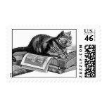 Cat on Books Postage