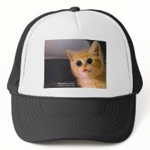 cat-on-drugs hats