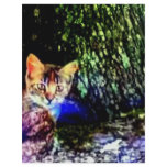 Cat on Oak Roots Flyer Design