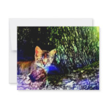 Cat on Oak Roots invitations