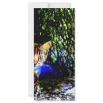 Cat on Oak Roots Full Color Rack Card